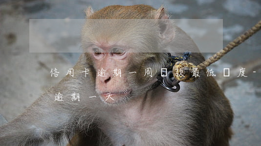 信用卡逾期一周還款最低額度-最低還款額逾期一天