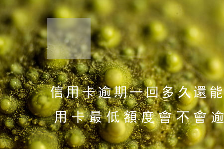信用卡逾期一回多久還能提額(提前一天還信用卡最低額度會不會逾期)