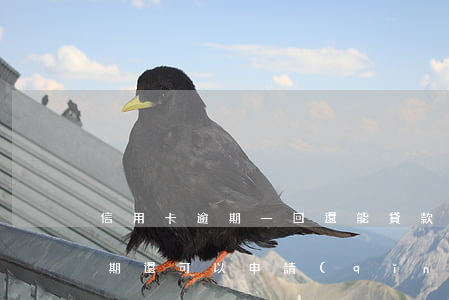 信用卡逾期一回還能貸款嗎(如果有信用卡逾期還可以申請(qǐng)貸款嗎)