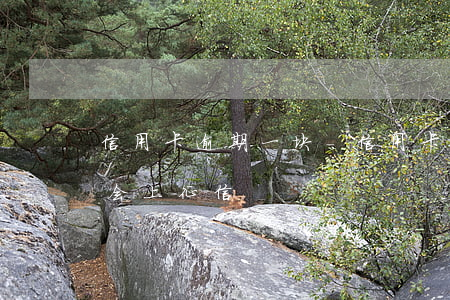 信用卡逾期一块-信用卡逾期一块多钱多久会上征信