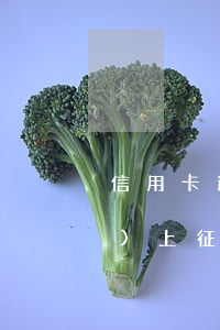 信用卡逾期一塊錢(qián)會(huì)上征信嗎 有一筆信用卡逾期影響征信嗎