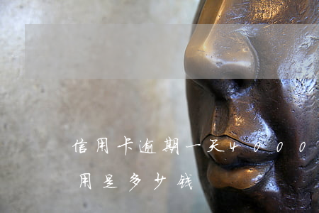 信用卡逾期一天4000(信用卡逾期一天费用是多少钱)