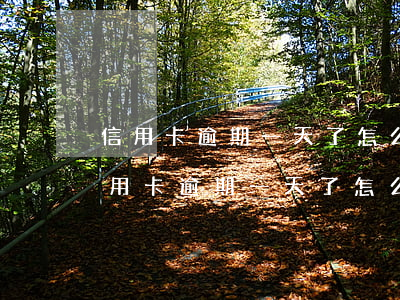 信用卡逾期一天了怎么跟銀行協商解決-信用卡逾期一天了怎么跟銀行協商解決呢