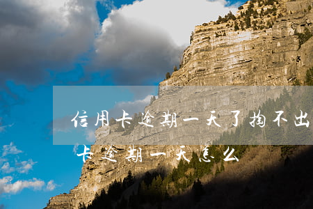 信用卡逾期一天了掏不出來錢了(不小心信用卡逾期一天怎么辦)