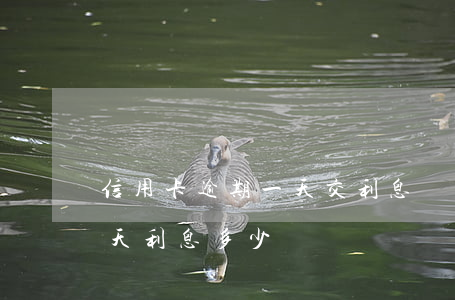 信用卡逾期一天交利息嗎(銀行信用卡逾期一天利息多少)