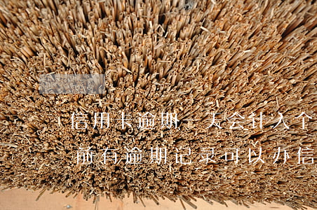 信用卡逾期一天会计入个人征信-征信一年前有逾期记录可以办信用卡吗