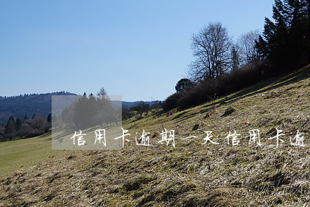 信用卡 逾期一天（信用卡逾期一天该怎么办）