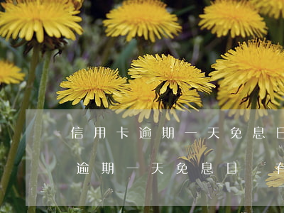 信用卡逾期一天免息日會有利息嗎-信用卡逾期一天免息日會有利息嗎怎么算