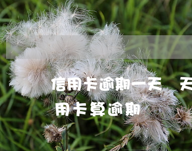 信用卡逾期一天兩天會怎么樣(超過兩天還信用卡算逾期嗎)