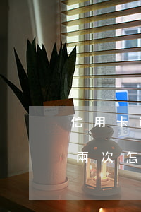 信用卡逾期一天兩次怎么辦(信用卡逾期一天兩次怎么辦)