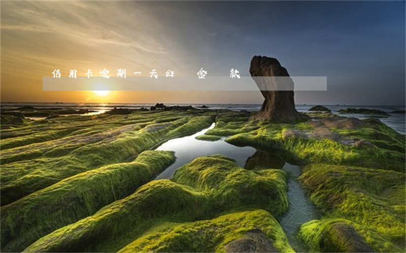 信用卡逾期一天公積金貸款