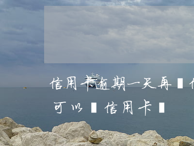 信用卡逾期一天再辦信用卡嗎(有過一次逾期可以辦信用卡嗎)