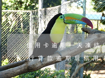 信用卡逾期一天凍結(jié)了怎么辦(銀行貸款逾期后信用卡凍結(jié)了怎么辦)