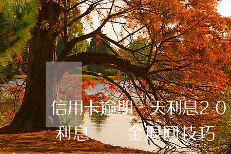 信用卡逾期一天利息200(信用卡逾期一天利息違約金退回技巧)