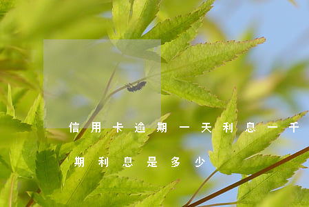 信用卡逾期一天利息一千多(一萬多信用卡逾期利息是多少)