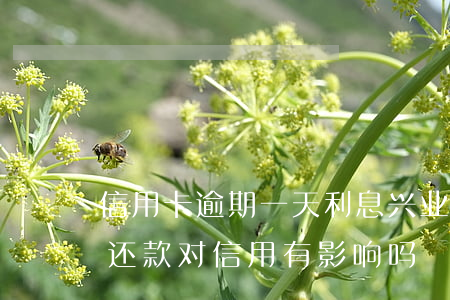 信用卡逾期一天利息兴业(兴业银行逾期一天还款对信用有影响吗)