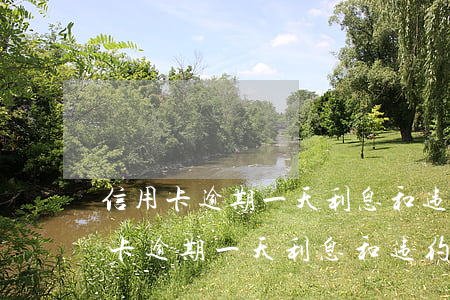 信用卡逾期一天利息和违约金能取消-信用卡逾期一天利息和违约金能取消吗
