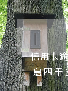 信用卡逾期一天利息四千 信用卡逾期一天利息四千多