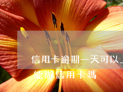 信用卡逾期一天可以上路嗎(近期有一次逾期能辦信用卡嗎)