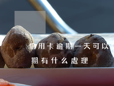 信用卡逾期一天可以抹去嗎(今年的信用卡逾期有什么處理)
