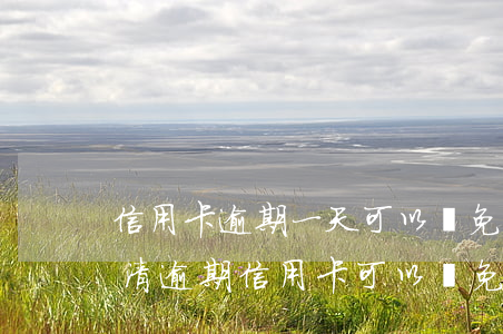 信用卡逾期一天可以減免利息嗎-一次性還清逾期信用卡可以減免些利息嗎