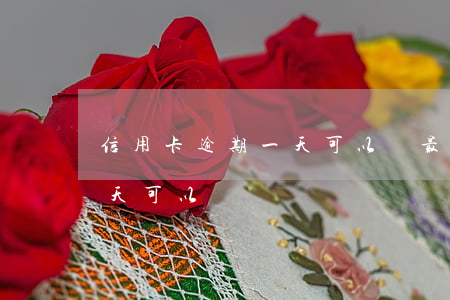 信用卡逾期一天可以還最低(我信用卡逾期一天可以嗎)