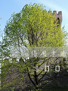 信用卡逾期一天后來(lái)還了(信用卡忘記還了逾期一天有影響嗎)
