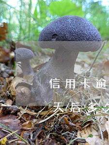 信用卡逾期一天后多久還款-信用卡逾期一天后多久還款