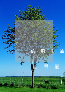 信用卡逾期一天后果嚴重嗎(信用卡逾期一天后果嚴重嗎)