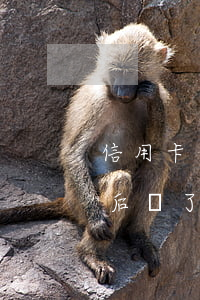 信用卡逾期一天后還了最低(信用卡逾期一天后還了最低還款會影響信用嗎)