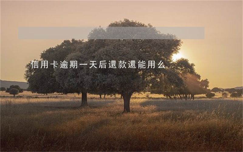 信用卡逾期一天后還款還能用么