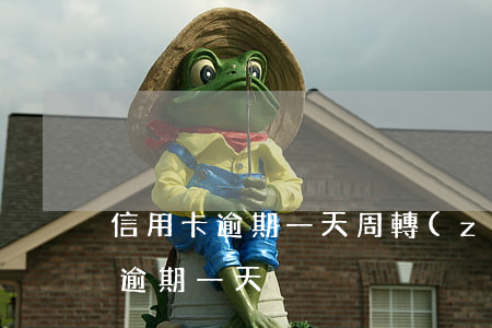 信用卡逾期一天周轉(zhuǎn)(信用卡逾期一天)