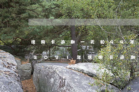 信用卡逾期一天和99年的區(qū)別-2021年信用卡逾期一天會怎么樣
