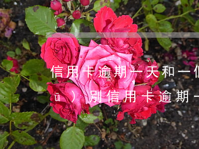 信用卡逾期一天和一個(gè)月的區(qū)別(信用卡逾期一天和一個(gè)月的區(qū)別)