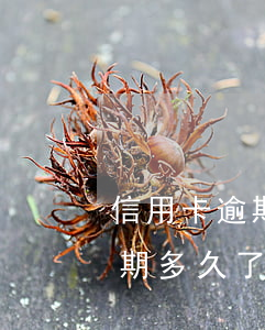 信用卡逾期一天多久消除-你們的信用卡逾期多久了