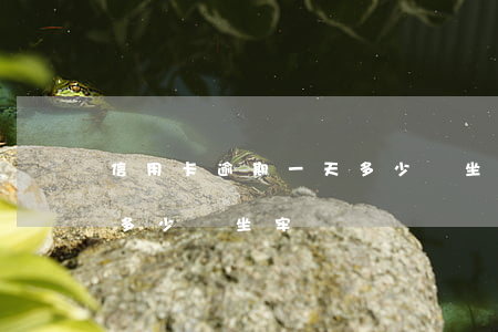 信用卡逾期一天多少會坐牢(信用卡逾期一天多少會坐牢)