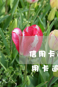 信用卡逾期一天多少錢不能起訴-一萬元信用卡逾期一天多少錢