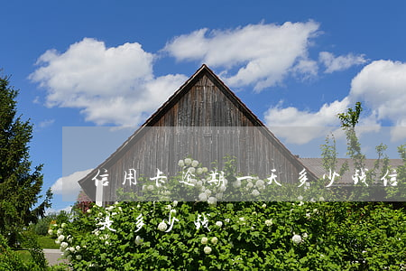 信用卡逾期一天多少钱(信用卡逾期一天费用是多少钱)