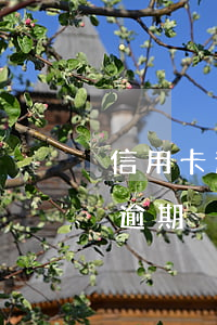 信用卡逾期一天多幾十塊利息(幾十元信用卡逾期)