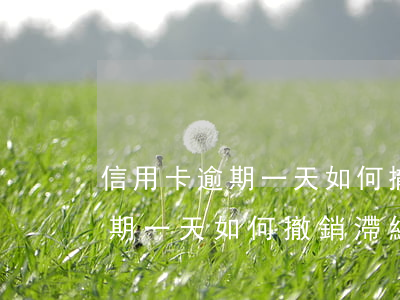 信用卡逾期一天如何撤銷滯納金-信用卡逾期一天如何撤銷滯納金申請