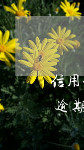 信用卡逾期一天就來(lái)催(我信用卡逾期一年為什么銀行沒(méi)催我)