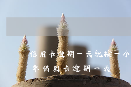 信用卡逾期一天就按一个月利息算(2020年信用卡逾期一天)