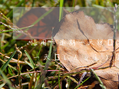 信用卡逾期一天就會(huì)上征信(逾期一天會(huì)上征信么)