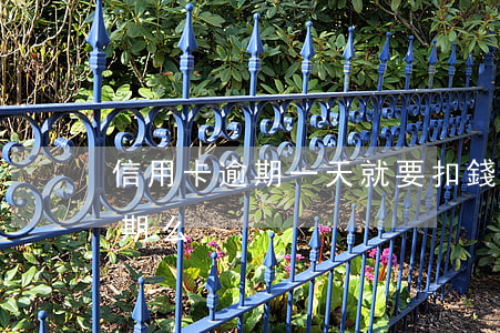 信用卡逾期一天就要扣錢嗎(信用卡1天算逾期么)