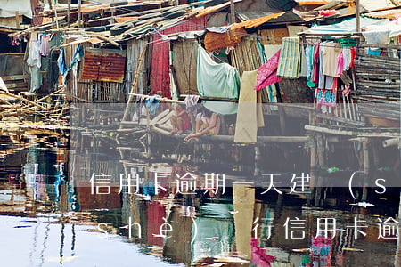 信用卡逾期一天建設(shè)銀行(建設(shè)銀行信用卡逾期一天有沒有影響?)