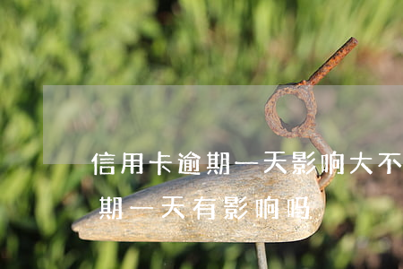 信用卡逾期一天影响大不大(哈尔滨信用卡逾期一天有影响吗)