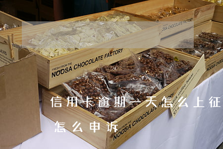信用卡逾期一天怎么上征信(逾期一天上征信怎么申诉)
