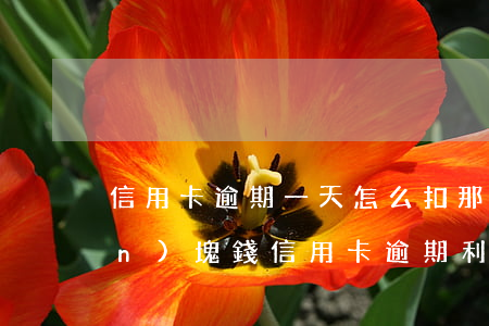 信用卡逾期一天怎么扣那么多錢(1萬(wàn)塊錢信用卡逾期利息怎么算)