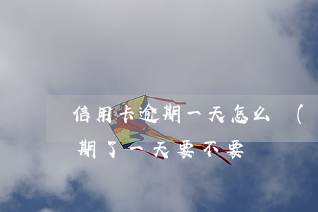 信用卡逾期一天怎么補(bǔ)救(信用卡逾期了一天要不要緊)