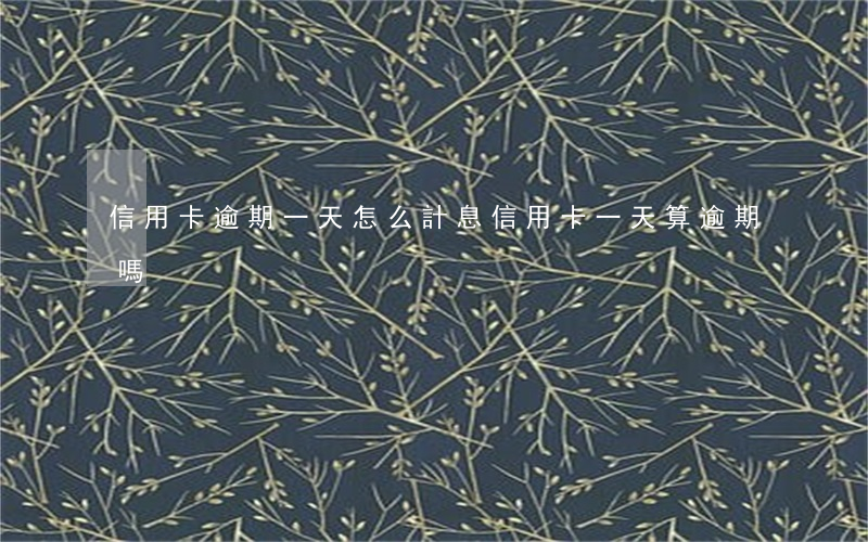 信用卡逾期一天怎么計息(信用卡一天算逾期嗎)